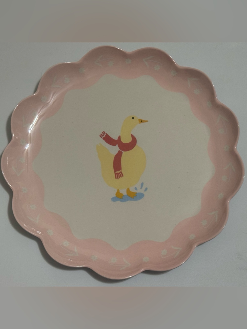 Threshold Pink and Cream Duck Accent Salad Plates, 2 Plates